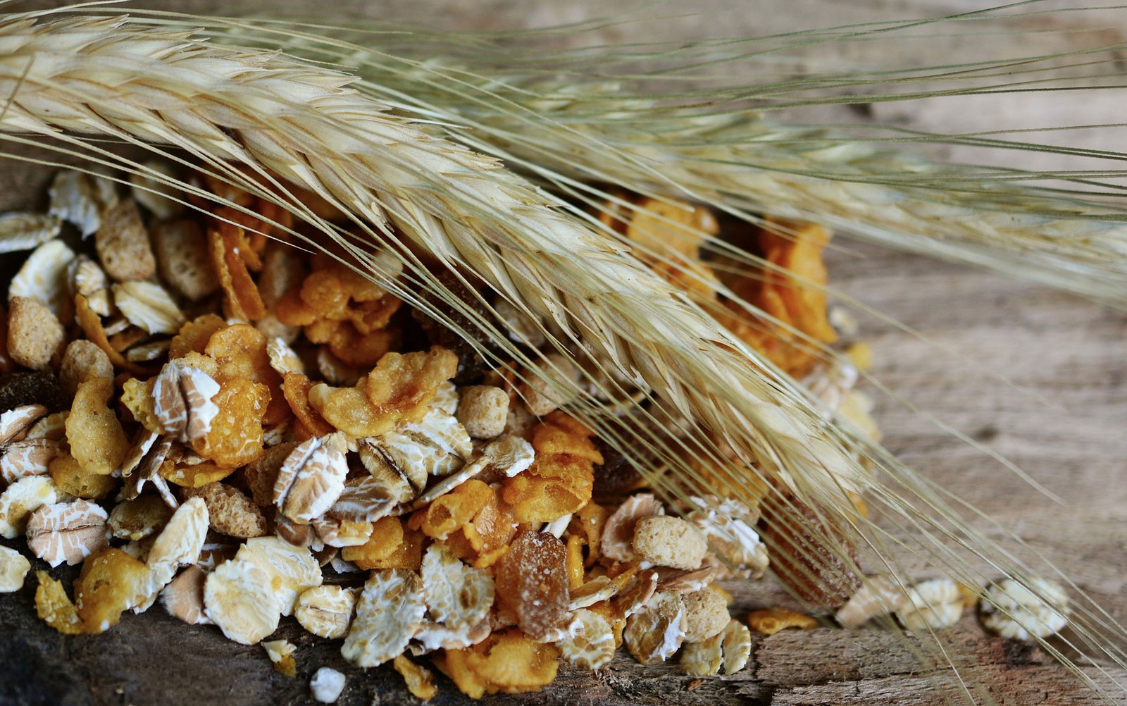 Fibras e grãos aumentam sensação de saciedade (Foto: Congerdesign/Creative Commons)