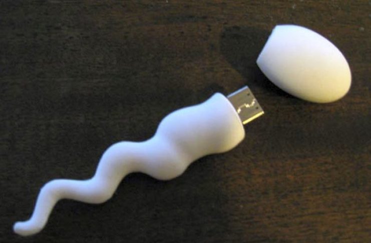 testiculosmateria1109