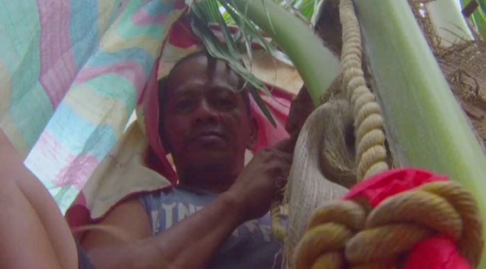 Gilbert Sanchez, 47 anos, se recusava a descer do coqueiro