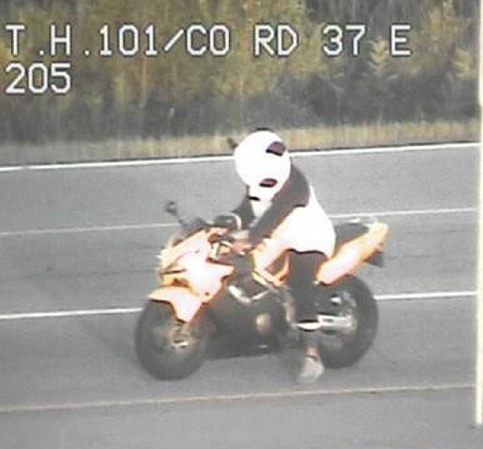 Motociclista que dirigia fantasiado de panda é parado pela polícia nos EUA (Foto: Minesotta State Patrol/Twitter)