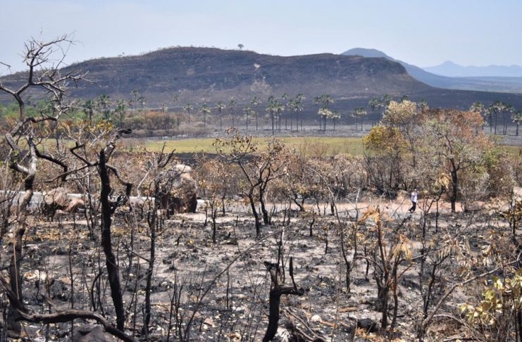 queimada