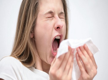 5 remédios naturais para curar a rinite alérgica