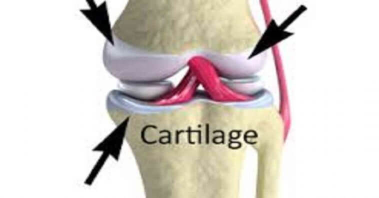 Conheça 4 truques para recuperar as suas cartilagens sem remédio nenhum