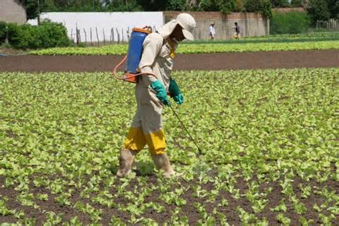 Ruralistas Topam Aprovar A Reforma Da Previdência Por Liberação De Agrotóxicos (VENENO)