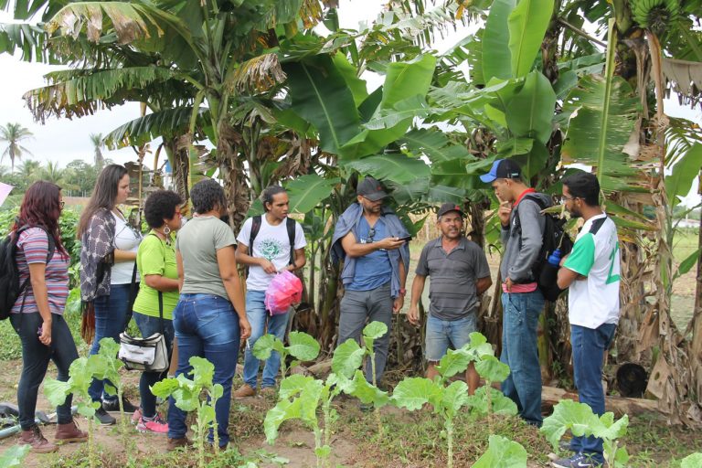 IFS fará aulas de extensão rural e correção de solos no perímetro da Cohidro em Lagarto