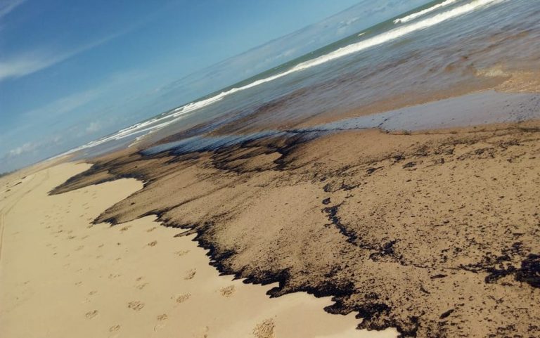 Equipes fazem retirada do óleo que atingiu a Praia de Jatobá