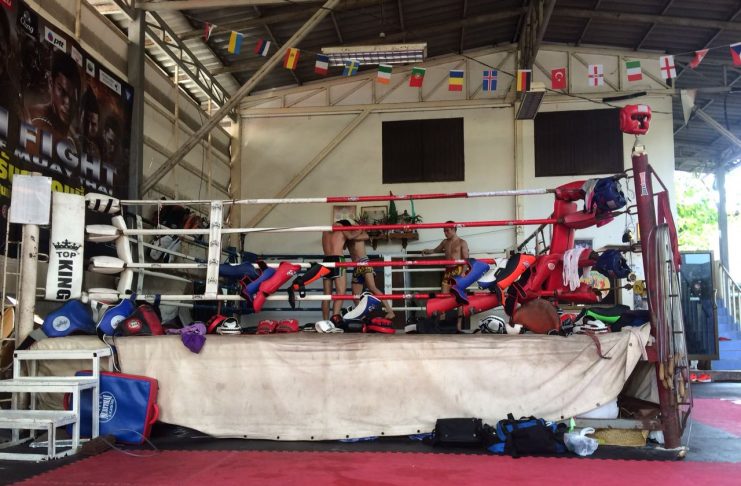 treino