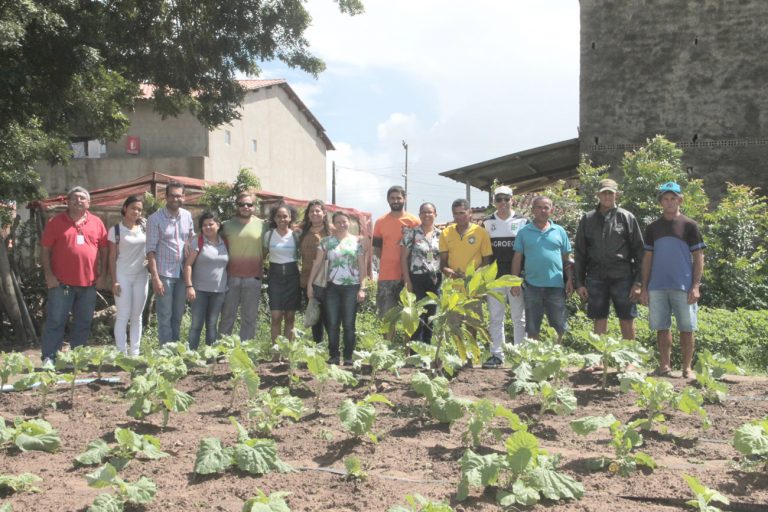 Estudantes do IFS aplicam resultados de pesquisa com solos no perímetro da Cohidro em Lagarto