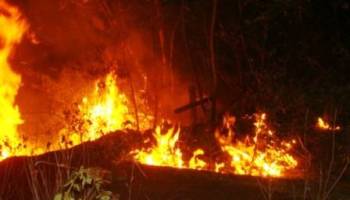 Homem é preso por incendiar capela de cemitério