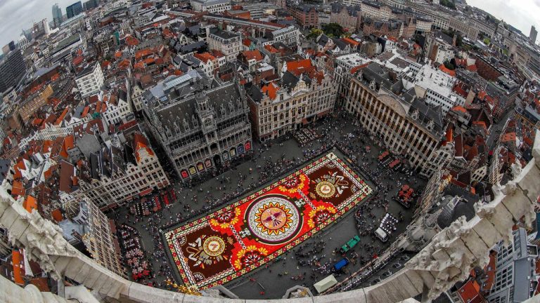 Feito com flores, tapete de 1.800 m² é exposto em Bruxelas