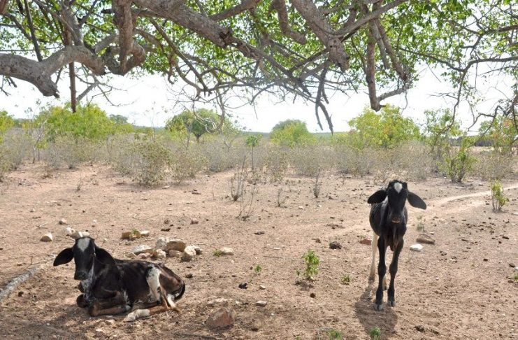 WhatsApp Image 2018-08-02 at 09.02.49