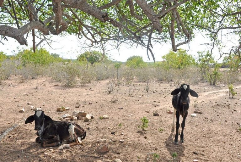 Medida nacional reconhece situação de emergência em Sergipe