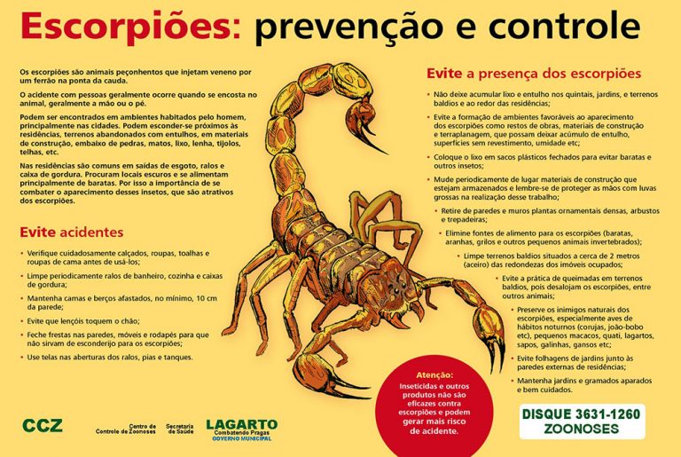 Centro de Zoonoses orienta a população sobre prevenção a escorpiões em Lagarto