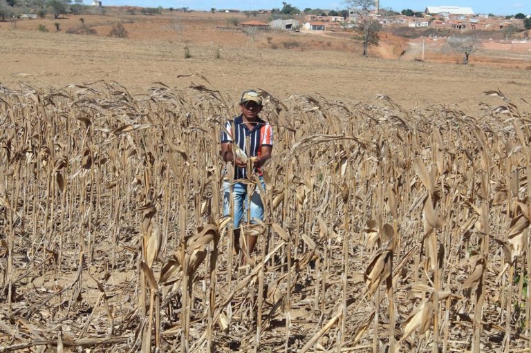 Quinze municípios sergipanos estão em situação de emergência por causa da seca
