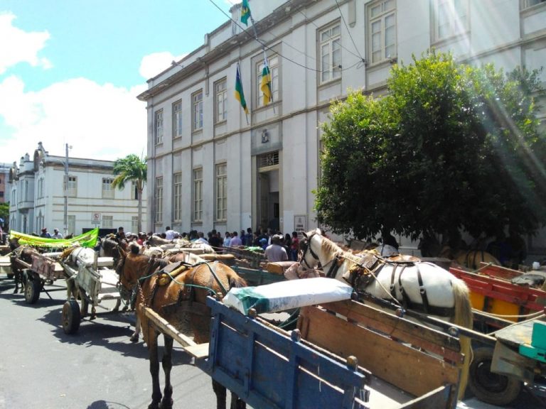 Carroceiros fazem protesto na porta da Câmara de Vereadores de Aracaju