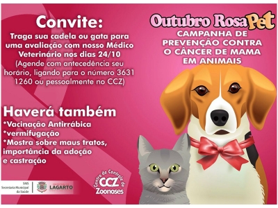 Centro de Controle de Zoonoses realiza ‘Outubro Rosa Pet’ com atendimentos do médico veterinário