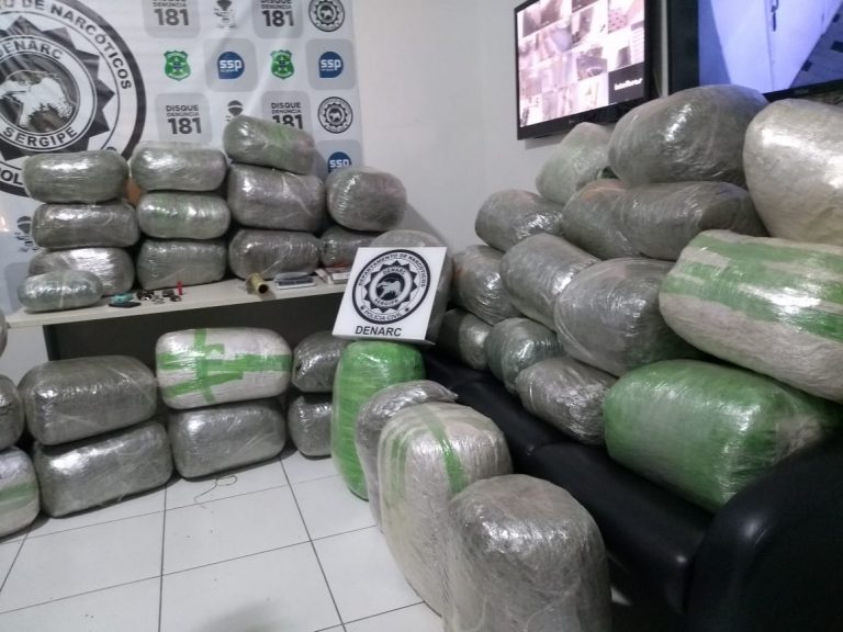 Denarc apreende 320 kg de maconha em chácara de Nossa Senhora do Socorro