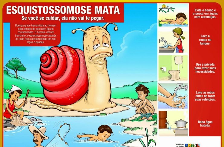 combate_à_esquistossomose