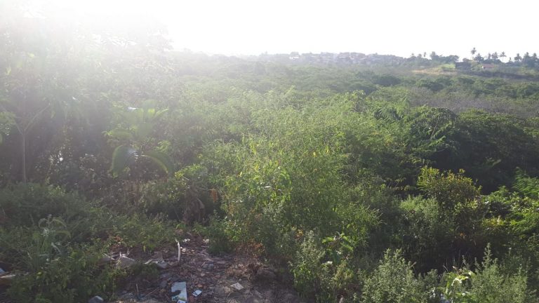 Criança levada por homens enquanto brincava em área de mangue é encontrada, mas morre em hospital