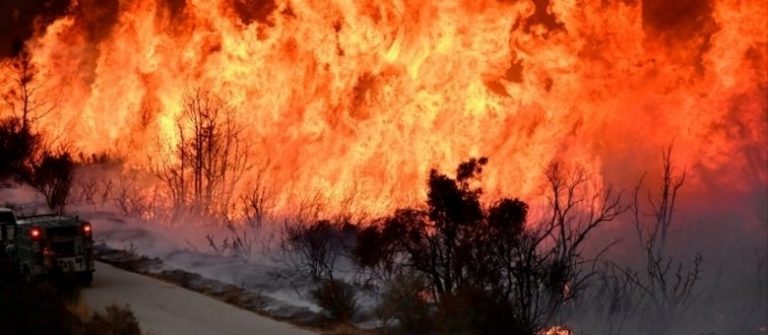 Número de mortes por incêndio florestal sobe para 31 na Califórnia.