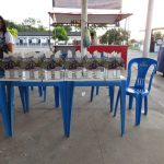 WhatsApp Image 2018-11-05 at 10.44.32