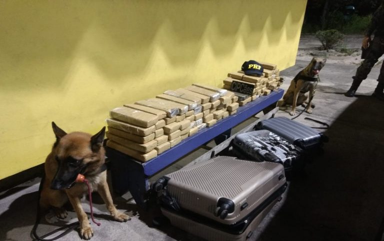 Mais de 90 tabletes de maconha são apreendidos em fiscalização da PRF.