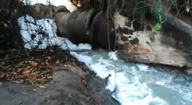 Deso é multada em um milhão e meio por poluição ambiental