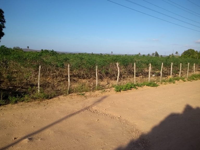 Vende-se terreno situado no Pov. Fazenda Grande