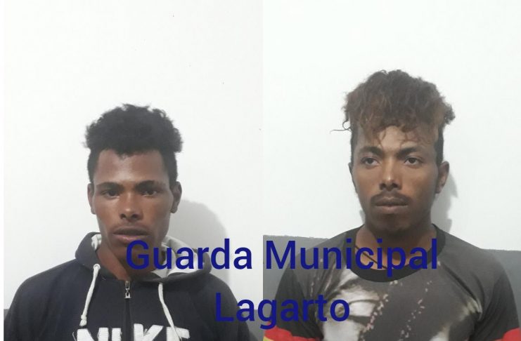 f73f2b55-57d6-47f6-b38d-b16b000162d0