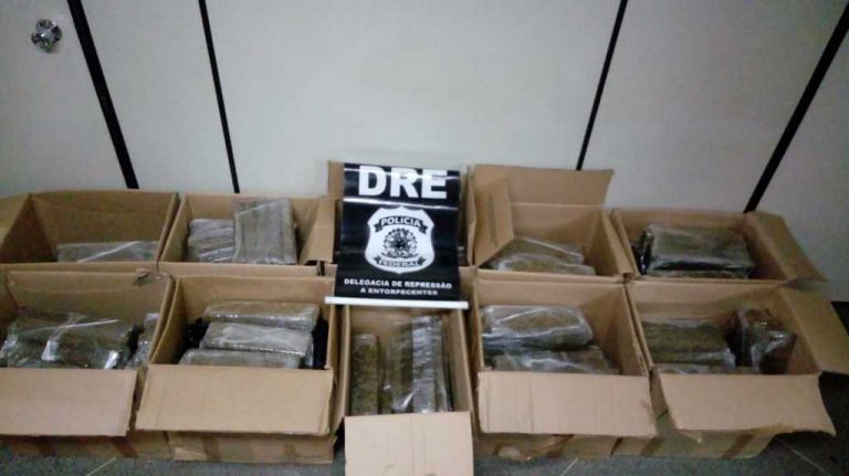 Polícia Federal em Sergipe apreende drogas na BR  101