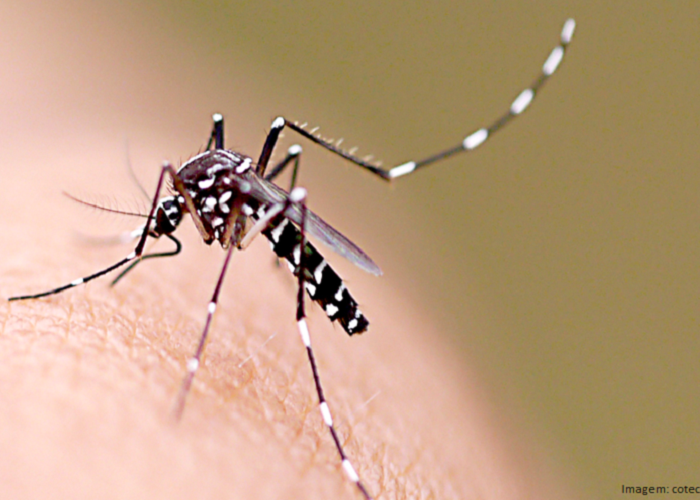 Criança de seis anos morre por dengue hemorrágica em Sergipe