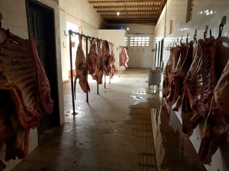 Operação Abate final: mais dois matadouros são interditados em Sergipe