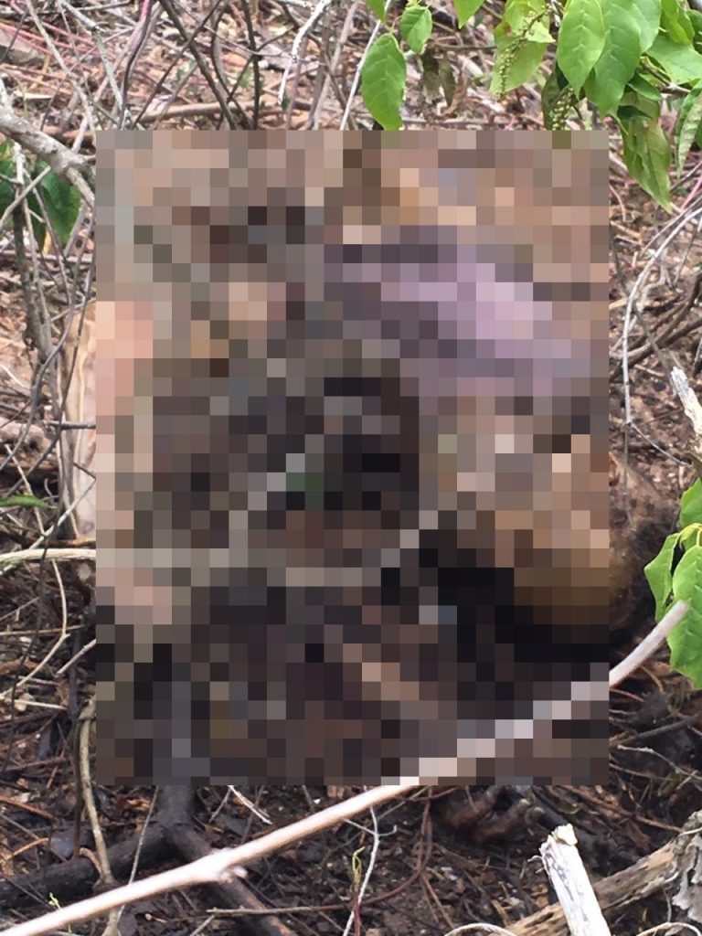 Corpo em estado avançado de decomposição é encontrado em Lagarto