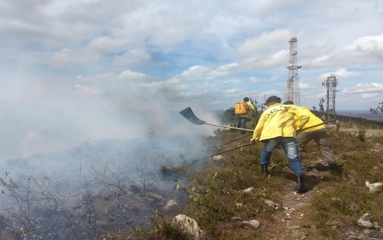 Incêndio já devastou mais 2 mil hectares do Parque Nacional de Itabaiana