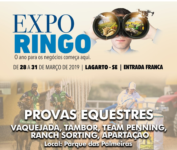 EXPORINGO 2019 começa próxima semana