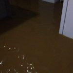 WhatsApp Image 2019-03-30 at 08.59.33 (1)