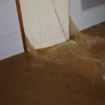 WhatsApp Image 2019-03-30 at 08.59.33