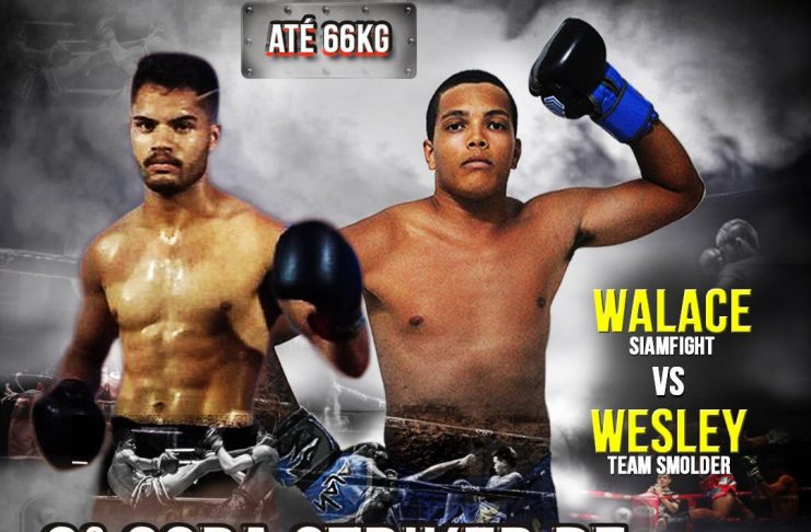 da1fd5c5-48e2-4a37-9902-493a896f4611