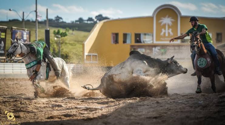 ABVAQ vai reunir donos de parques na vaquejada do Parque das Palmeiras