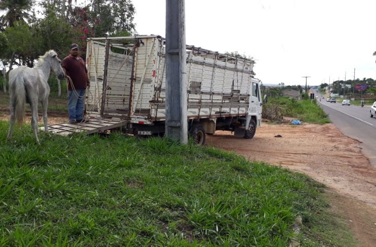 506192d9-4dc5-41e4-b0c1-64fa86de1cf4