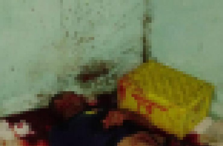 5a018d24-89b9-448f-b601-afd9e8088b75 (1)