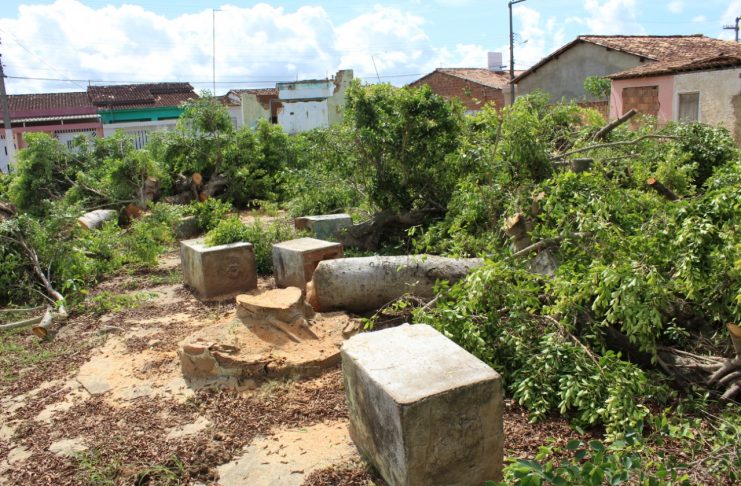 Foto divulgada pela Prefeitura de Lagarto