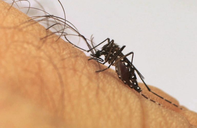 Saúde discute estratégias para conter avanço da dengue no Alto Sertão