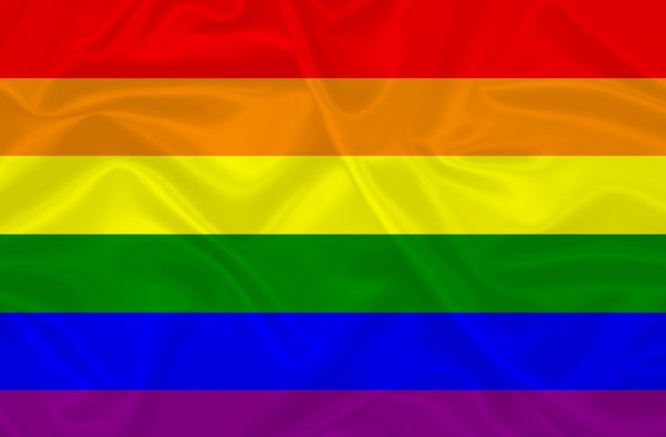 bandeira-lgbt-parada-gay-2019-gls-arco-iris-colorida-D_NQ_NP_627606-MLB28239450108_092018-F