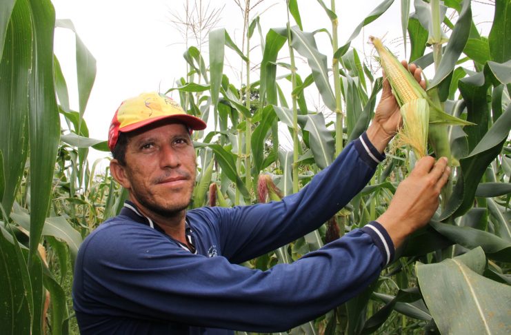 e1a1419ecc44cba4829e9221bcd1f9fd