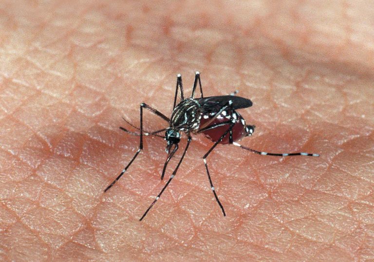 Mulher com suspeita de dengue, morre após tentar atendimento médico em Lagarto