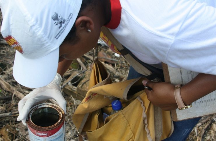 brigadaitineranteses1