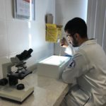 Laboratório 2