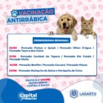 cronograma_vacina