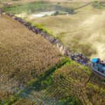 Cavalgada do povo 2019